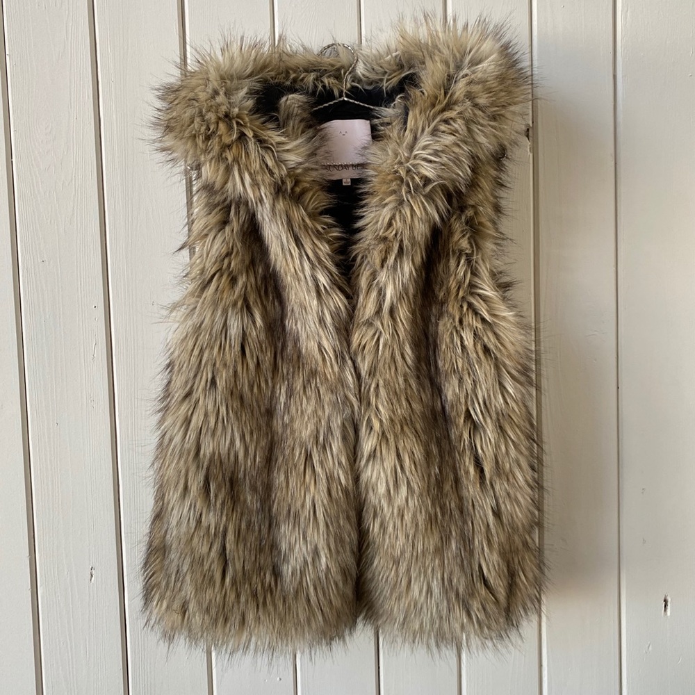 Aritzia Sunday Best fur vest